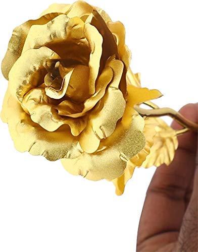 Webelkart Premium Plastic Valentine Gift for Girls Boys Girlfriend Boyfriend Husband Wife Love Couple Decorative 24K Gold Plated Artificial Rose Flower with Box (Gold, 10 Inches), Artificial Gold Rose