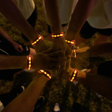 TriLight: Adventure Companion