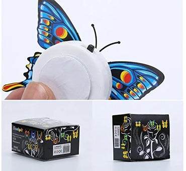 LED Color Changing Beautiful Butterfly (Set Of 4)