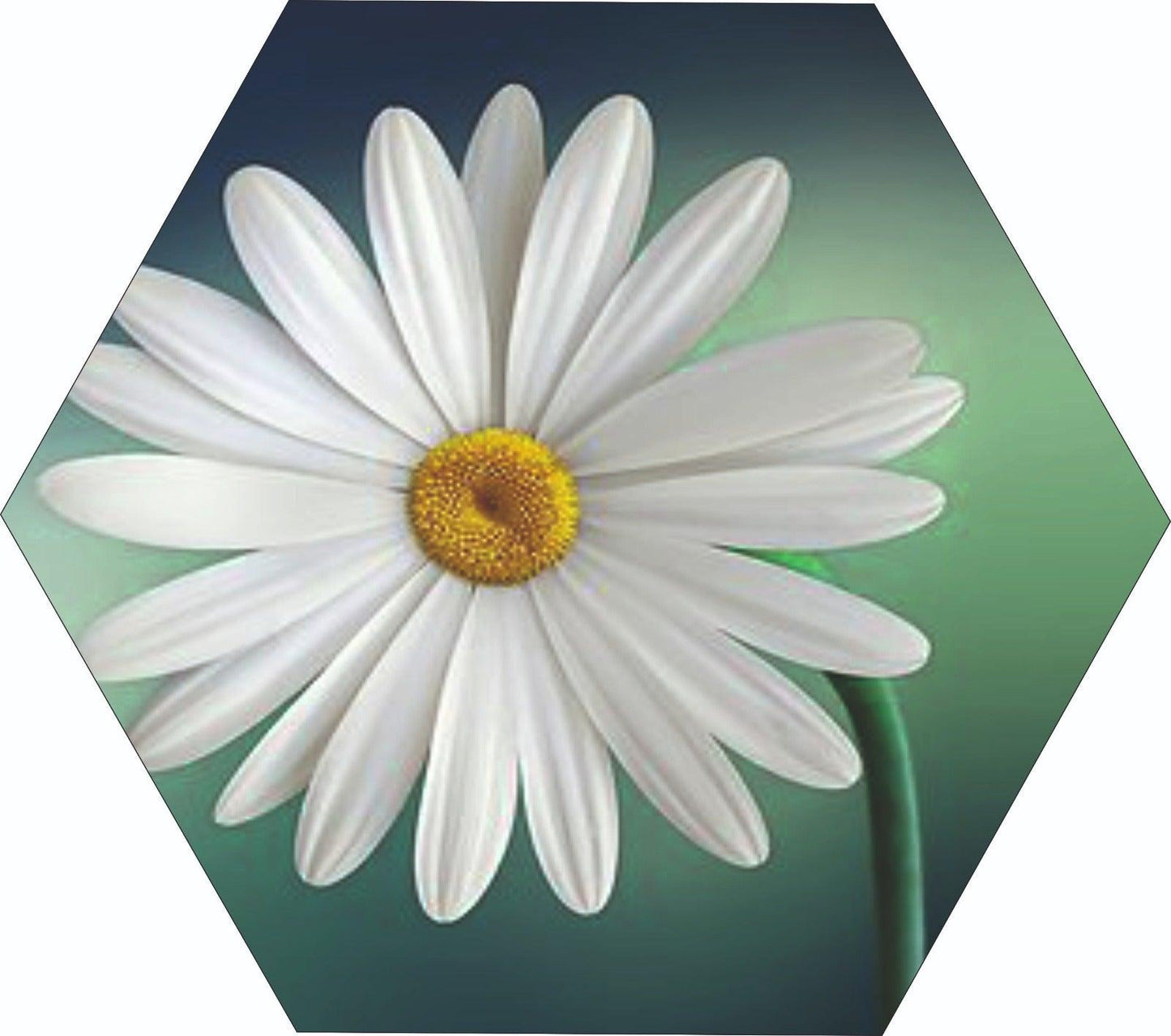 Webelkart Set Of 3 Flowers Art Wooden Wall Hanger for Home Decor | Office | Gift | Bedroom | Living Room | Home Decoration | Wall Hanging Decorative Item | Artwork Canvas Paintings