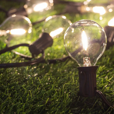 Warm Glow LED Edison Bulbs – Vintage Design with Modern LED – 24-Pack