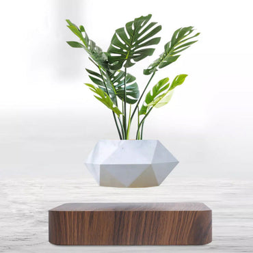 Potzi: Magnetic Levitating Bonsai Planter with Rotating Floating Pot & Wooden Base, Geometric Indoor Decor for Air Plants & Minimalist Homes