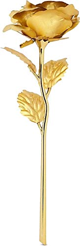Webelkart Premium Plastic Valentine Gift for Girls Boys Girlfriend Boyfriend Husband Wife Love Couple Decorative 24K Gold Plated Artificial Rose Flower with Box (Gold, 10 Inches), Artificial Gold Rose