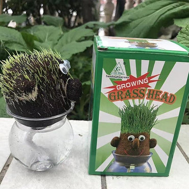 1 Pc Grass Head Doll Plant