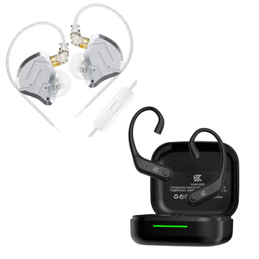 KZ ZSN PRO 2 IEM & KZ AN01 ANC Enabled True Wireless Adapter