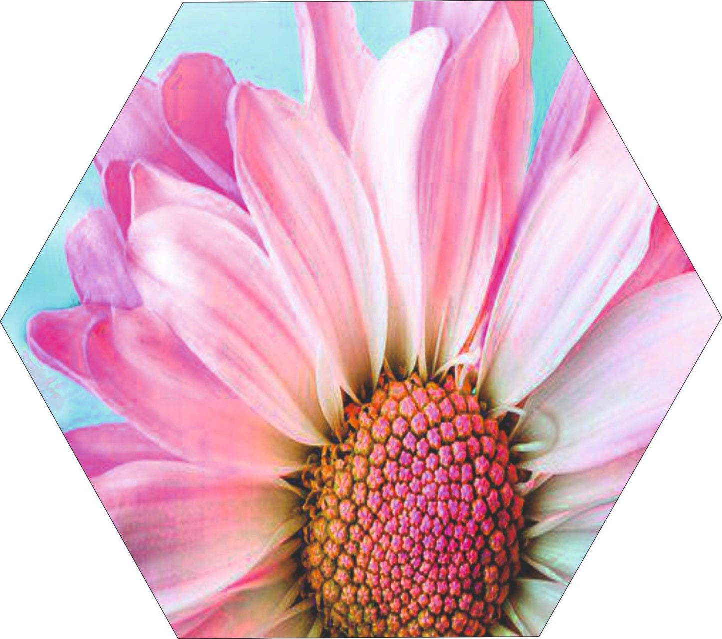 Webelkart Set Of 3 Flowers Art Wooden Wall Hanger for Home Decor | Office | Gift | Bedroom | Living Room | Home Decoration | Wall Hanging Decorative Item | Artwork Canvas Paintings