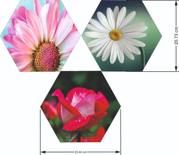 Webelkart Set Of 3 Flowers Art Wooden Wall Hanger for Home Decor | Office | Gift | Bedroom | Living Room | Home Decoration | Wall Hanging Decorative Item | Artwork Canvas Paintings