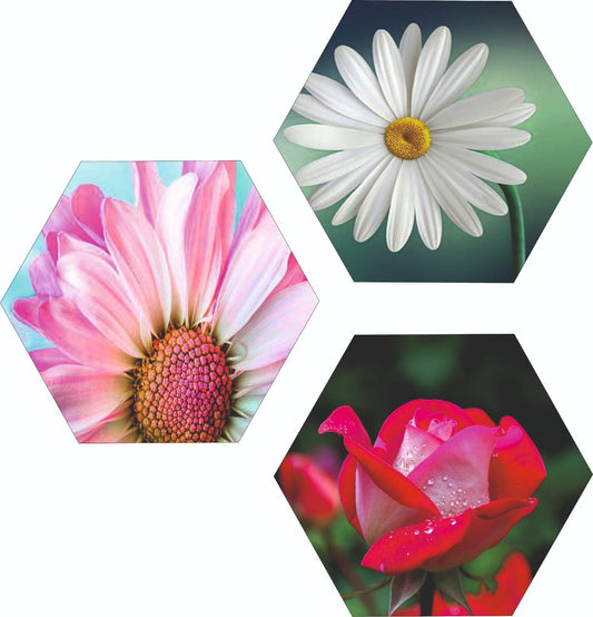 Webelkart Set Of 3 Flowers Art Wooden Wall Hanger for Home Decor | Office | Gift | Bedroom | Living Room | Home Decoration | Wall Hanging Decorative Item | Artwork Canvas Paintings