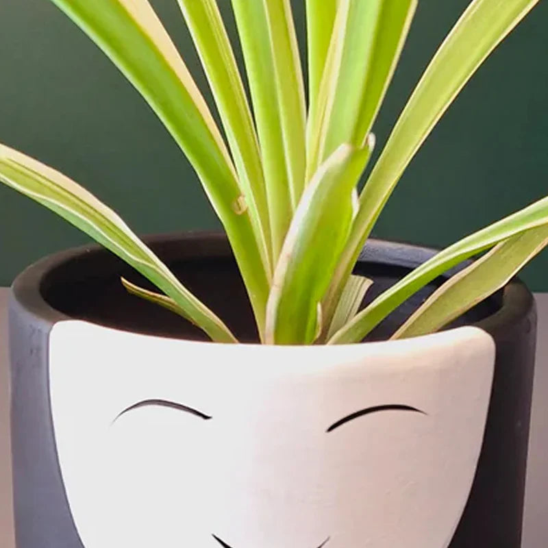 Visage Ceramic Planter - Black